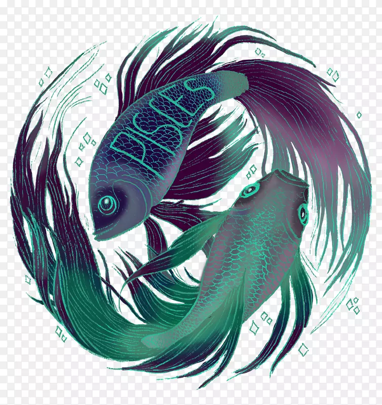 绘图图形设计插画-FISH