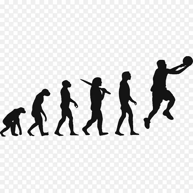 t恤人类进化智人生物学-篮球运动员