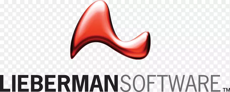 Lieberman软件身份管理计算机软件计算机安全微软-微软