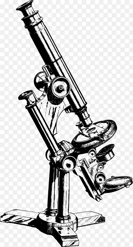 显微镜绘图夹艺术显微镜