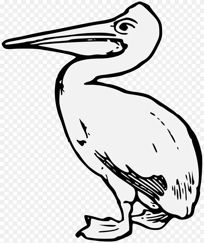 海鸟纹章学艺术中的虚构和象征生物-一种纹章鸟的展示