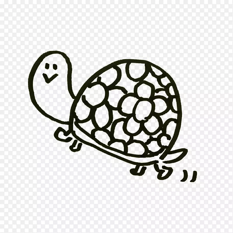 插画海龟摄影主题-花线