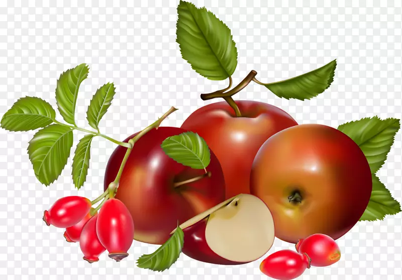 巴巴多斯樱桃浆果番茄-番茄食品