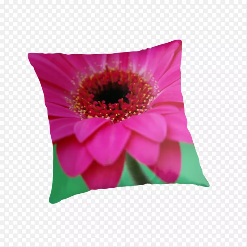 抛掷枕头垫花植物花瓣-红色花瓣