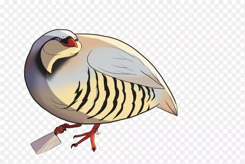 鸟类-水彩大嘴鸟