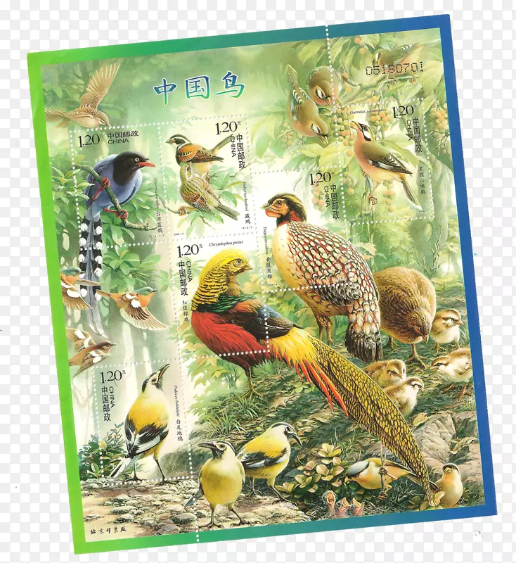 鸟邮票小型张节日邮票
