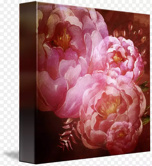 花卉静物摄影玫瑰科花卉设计创意牡丹