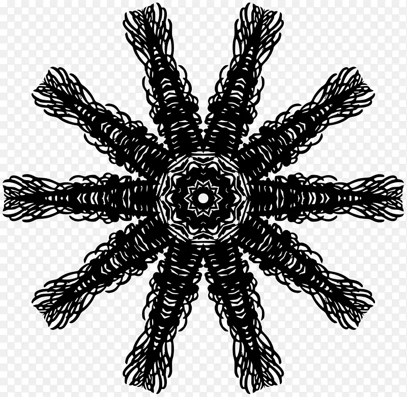 柯迪剪贴画