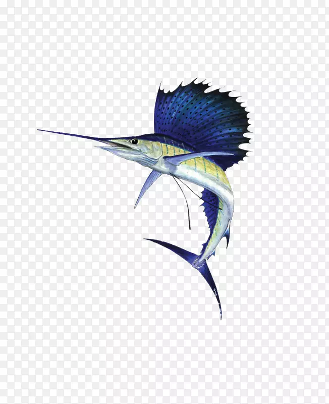 大西洋旗鱼，印度太平洋旗鱼肖像，来自深海动物旗鱼-l