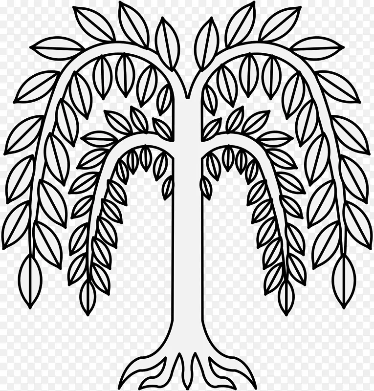 树叶绘制垂柳植物-柳树