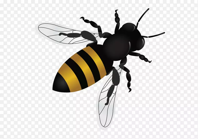 蜜蜂坦佩喷泉山昆虫-蜜蜂主题