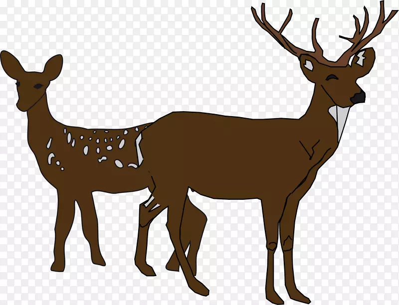 白尾鹿剪影剪艺术鹿