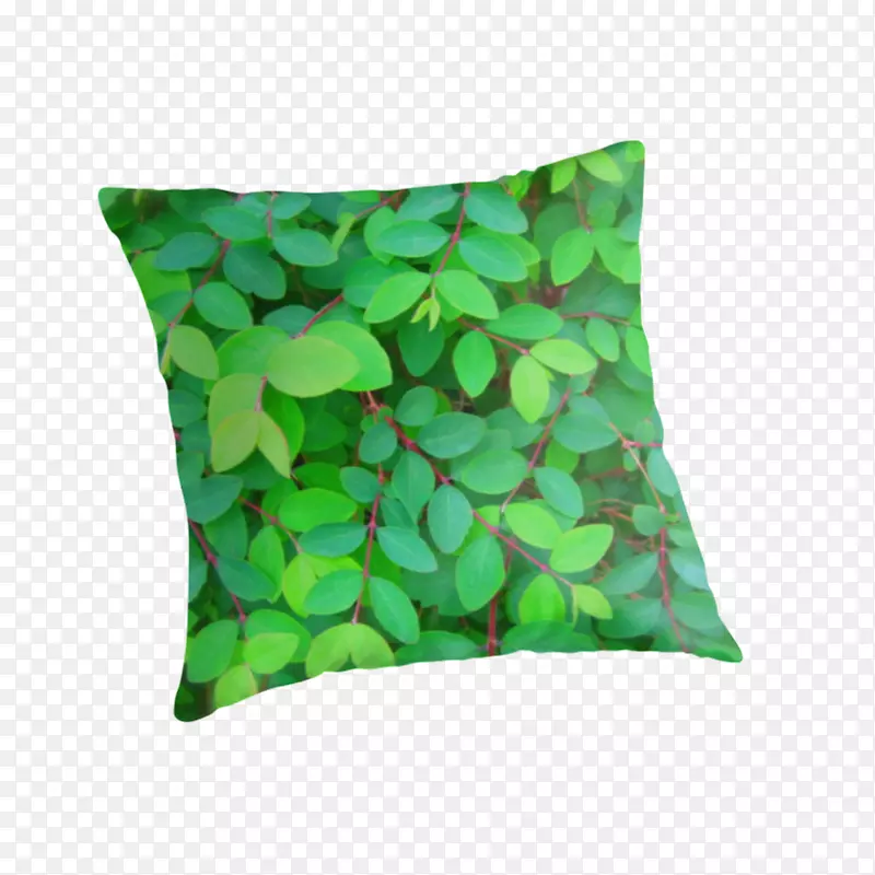 投掷枕头垫绿叶织物图案
