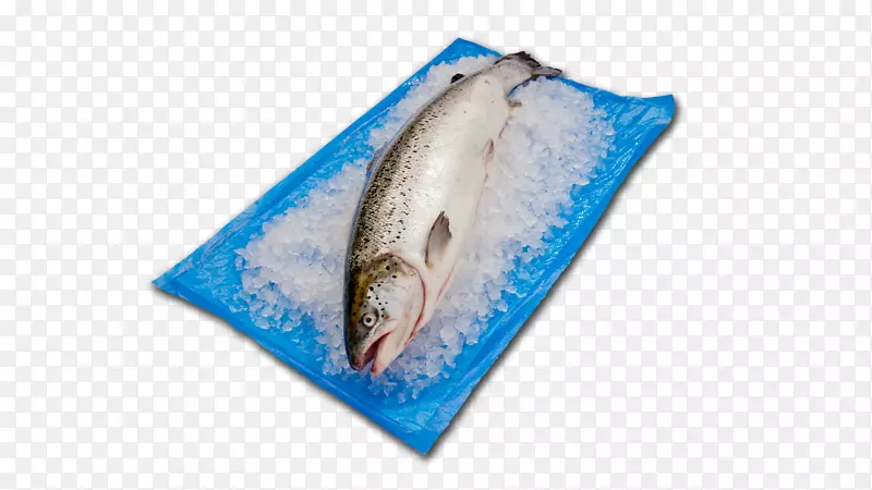 鱼海鲜烹饪有限公司-鱼
