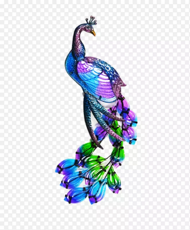 鸟孔雀苏尼尼画羽毛画紫色鸟