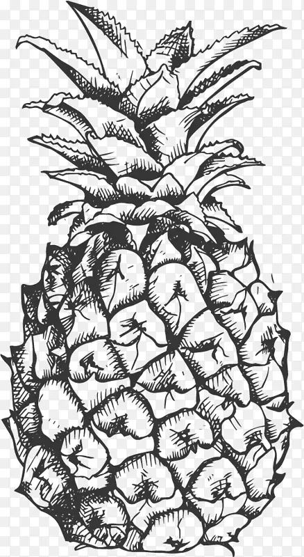 菠萝果品黑白剪贴画.三维水果素描