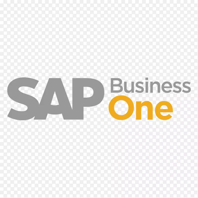 SAP业务1 SAP Hana sap Business ByDesign Computer Software-Business