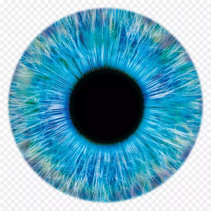 眼虹膜瞳孔计量学