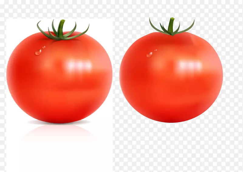 食品蔬菜水果李子番茄插画刷