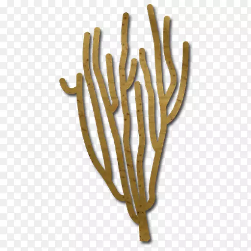石棉珊瑚藻-底栖生物