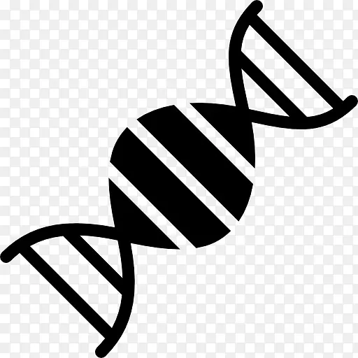 DNA遗传学核酸双螺旋生物学-dna结构人