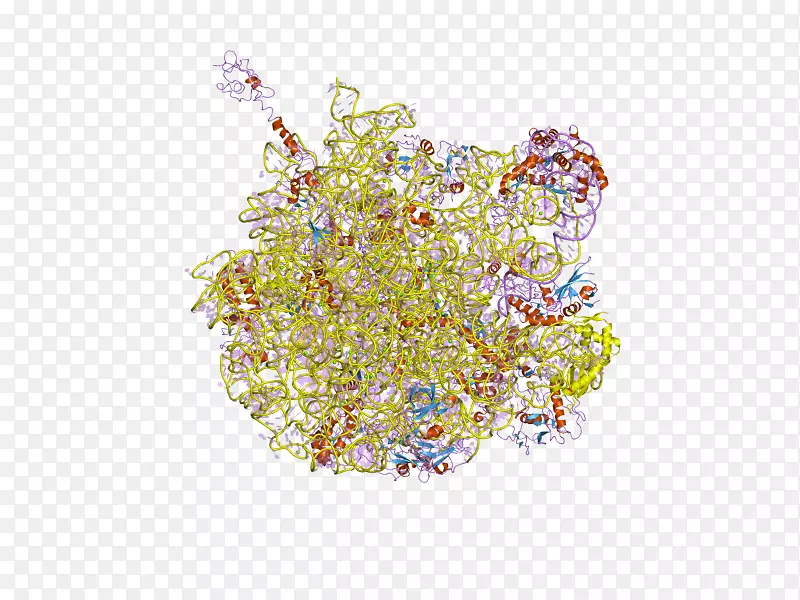 DNA核酸双螺旋核酸结构碱基对-dna结构人