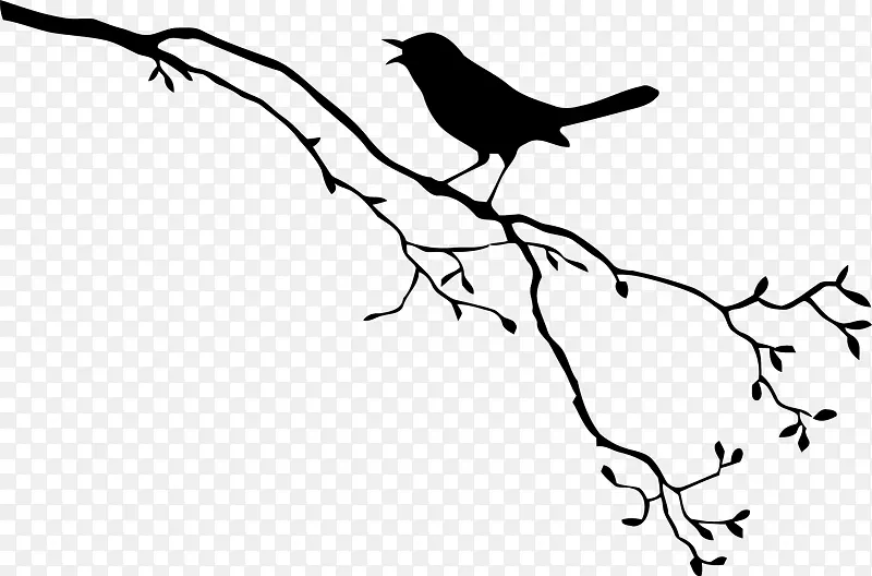鸟类免费绘图-边境分支