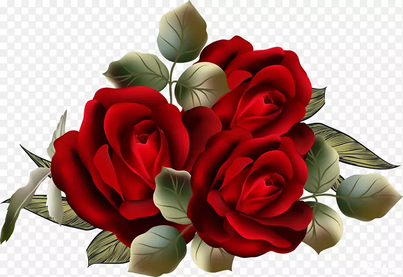花园玫瑰，蜈蚣玫瑰，花卉剪贴画-美丽的玫瑰