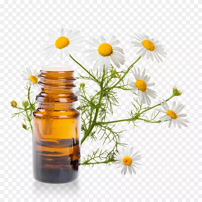 罗马甘菊植物油瓶