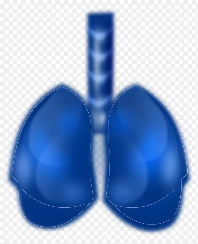 肺癌呼吸系统人肺蓝