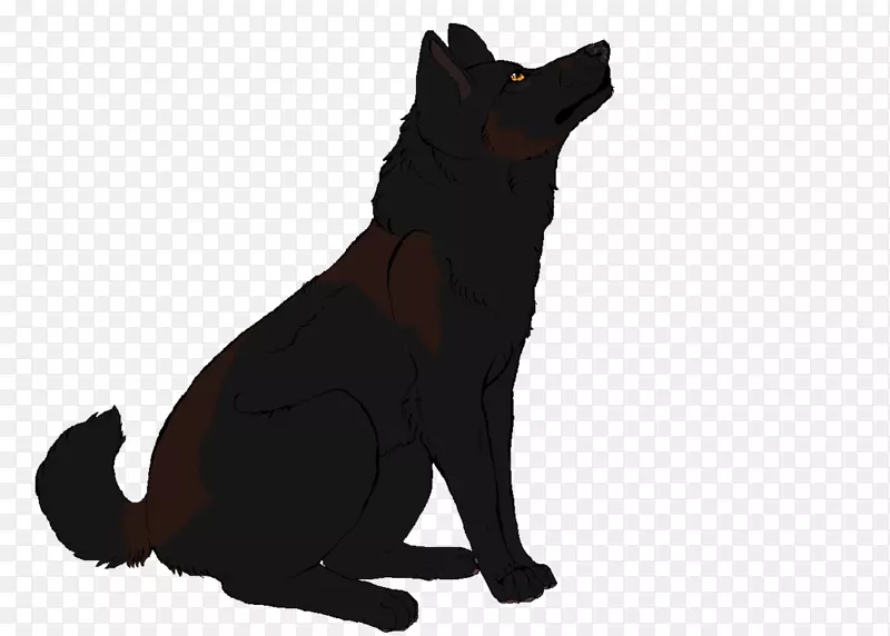 黑猫狗品种-污秽