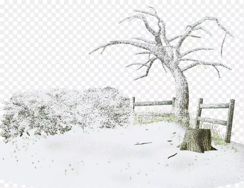 冬季暴风雪树-冬季