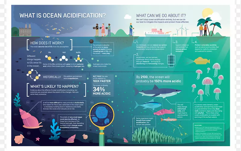 海洋酸化全球变暖二氧化碳-海水