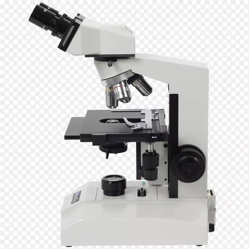 光学显微镜暗场显微镜放大