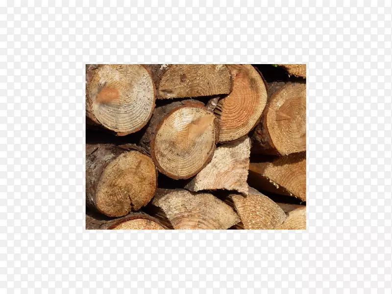 软木，柴火，木材，硬木.木材