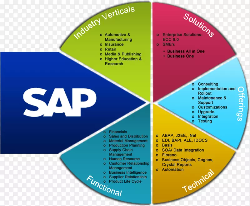 SAP ERP sap se企业资源规划sap HANA的实施-sap材料