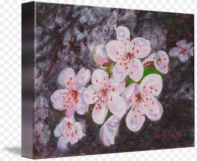 花卉设计樱花-梅花