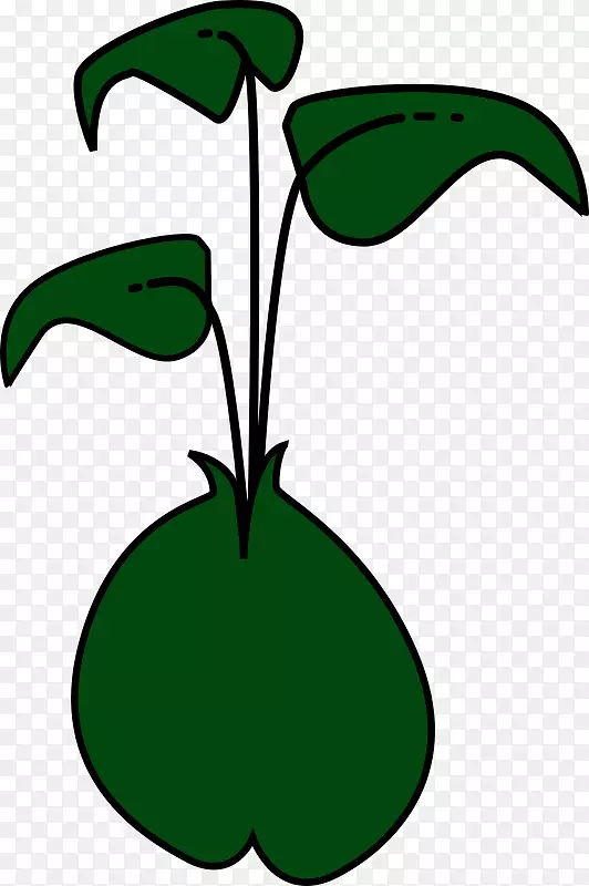 绿豆插花艺术-植物