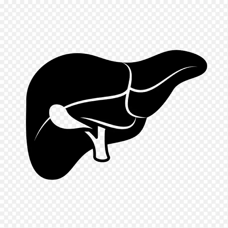 肝功能衰竭肝功能试验计算机图标肝硬化.灵芝