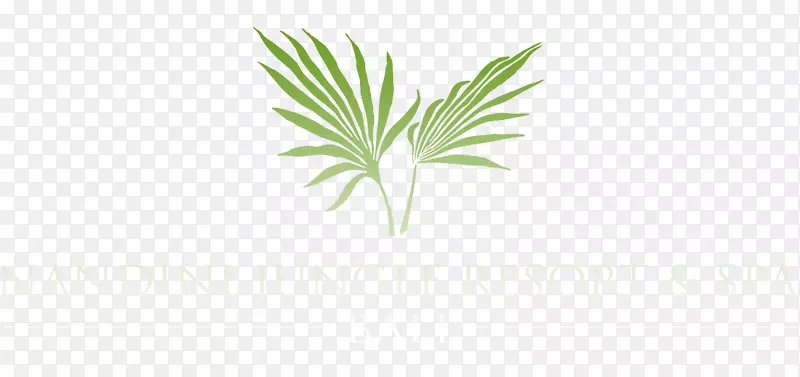 槟榔科叶棕榈叶植物茎-羽毛标志