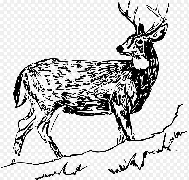 白尾鹿画驯鹿夹艺术鹿