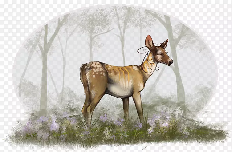 驯鹿牛，春羚角动物-梅花鹿