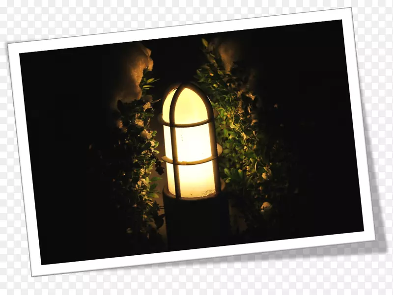 景观照明花园照明控制系统-灯光展示