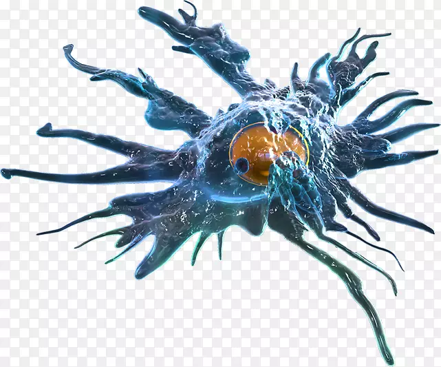 树突状细胞抗原提呈细胞抗原呈递免疫系统卡通病原体