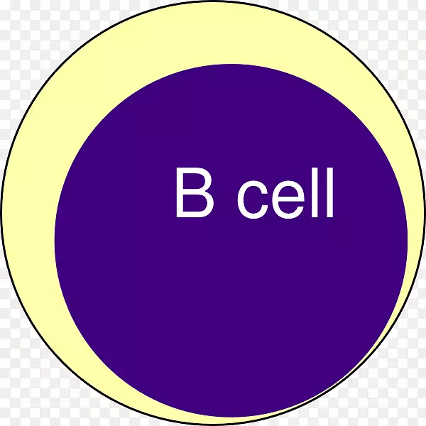 B细胞血浆剪贴画细胞动画