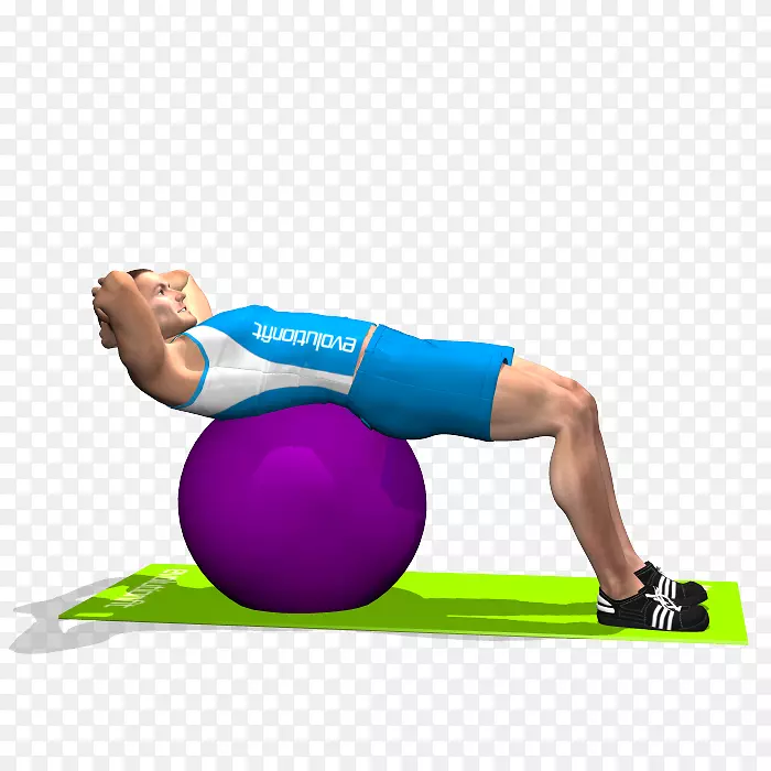 运动球普拉提腹直肌肌肉瑜伽球