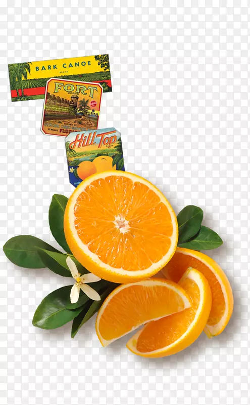 佛罗里达天然种植者的橙汁