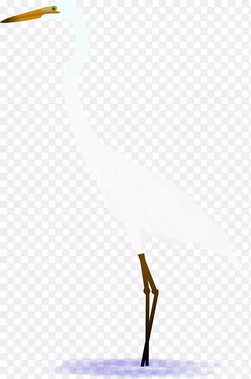 白鹭海鸟喙涉水-白鹭太阳术语