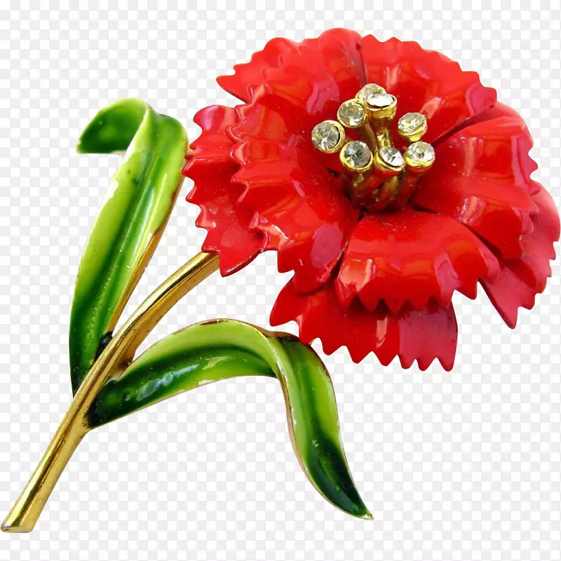 切花植物茎花瓣开花植物红色康乃馨