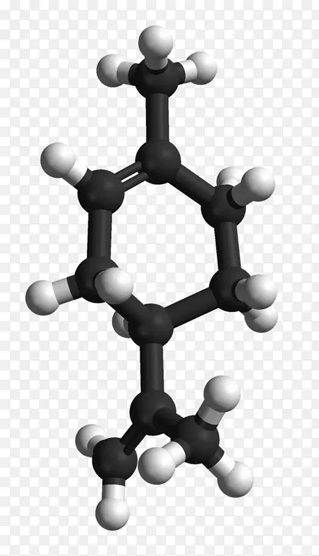 柠檬烯单萜化合物柑橘球令人惊异的十二月